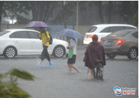 暴雨來襲 親們~請(qǐng)注意交通安全，別急！